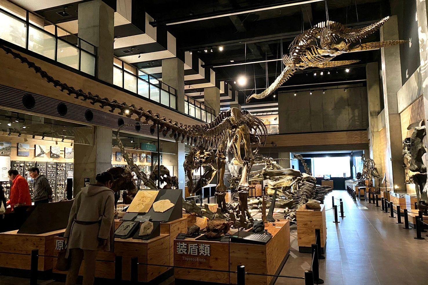 🦕 고쇼우라 공룡의 섬 박물관(고쇼우라 쿄류노시마 하쿠부츠칸) 이미지 6